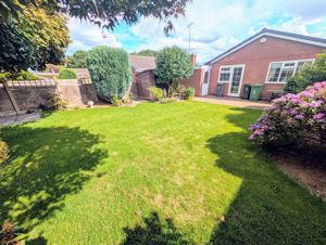 Photo 12- click for photo gallery